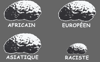 cerveau_raciste.gif