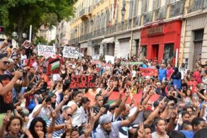 Manif de soutien aux Palestiniens à Toulon, le 20 juillet 2014 (Laurent Carratala)