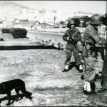 Arrestation de suspects pendant la bataille d’Alger en 1957, en pleine guerre d’Algérie. Collection Kharbine-Tapabor.