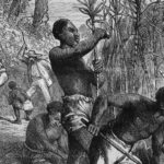 Récit de la vie d'un esclave par des élèves de 4eme. Illustration. Source : Blog HistoireGéo