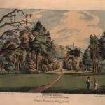 « Botanical Garden, from the bottom of the central walk », dans « Lansdown Guilding, An Account of the Botanic Garden in the Island of Saint Vincent, from its first Establishment to the Present Time », Glasgow, Richard Griffin and Co, 1825, p. 20.