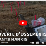 image_vide_o_enfants_de_harkis.png