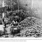 screenshot_2023-08-11_at_10-55-48_eric_manigaud._congo_une_histoire_du_colonialisme.png